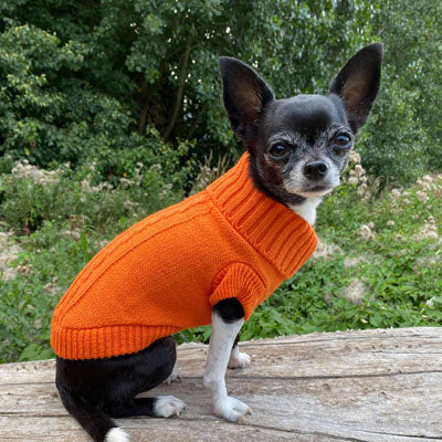 Small Dog Chihuahua Soft Orange Cable Knit Puppy Jumper 5 SIZES