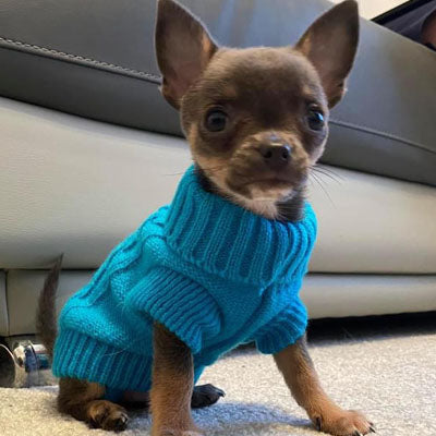 Small Dog Soft Cable Jumper Turquoise 6 Sizes