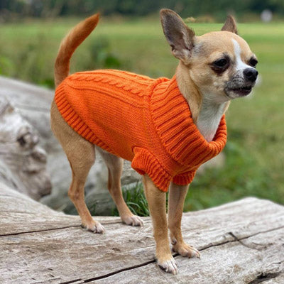 Small Dog Chihuahua Soft Orange Cable Knit Puppy Jumper 5 SIZES