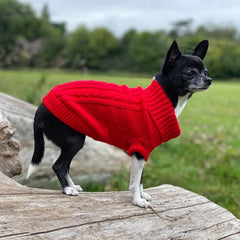 Small Dog Chihuahua Soft Red Cable Knit Puppy Jumper 5 SIZES