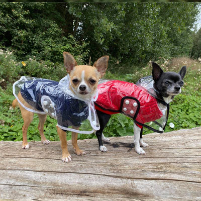 White Waterproof Raincoat for Chihuahuas and Small Dogs - 4 SIZES