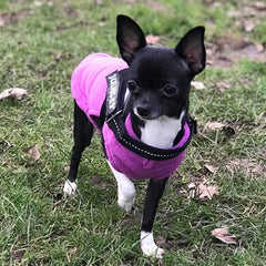 Chihuahua or Small Dog Fleece Jumper with D Rings For Leash Lilac - My Chi and Me