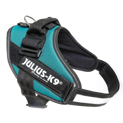 Julius K9 IDC Powerharness for Puppies and Chihuahuas Petrol Green Light Teal