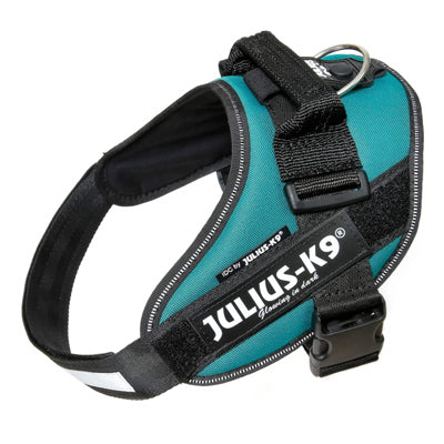 Julius K9 IDC Powerharness for Puppies and Chihuahuas Petrol Green Light Teal