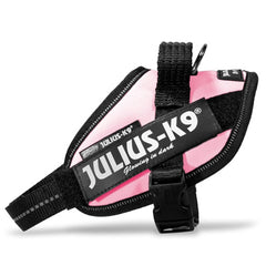 Julius K9 IDC Powerharness for Puppies and Chihuahuas Pink - My Chi and Me