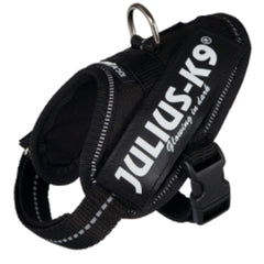 Julius K9 IDC Powerharness for Puppies and Chihuahuas Black - My Chi and Me