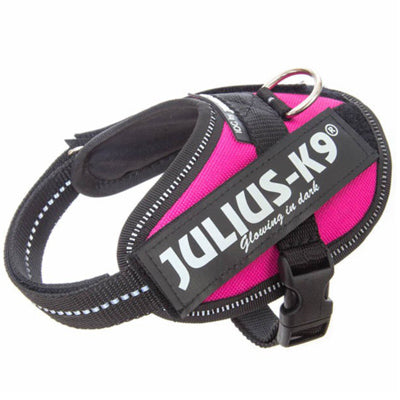 Julius K9 IDC Powerharness for Puppies and Chihuahuas Dark Pink - My Chi and Me