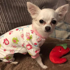 Chihuahua Small Dog Pyjamas Onesie Style Owls Horses Elephants Print Cotton Pink - My Chi and Me