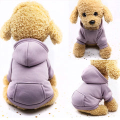 Chihuahua or Small Dog Hoodie Style Sweatshirt 6 Colours