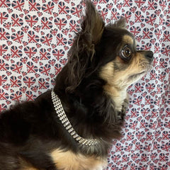 Harper Super Bling Necklace Chihuahua Small Dog Swarovski Crystal Collar