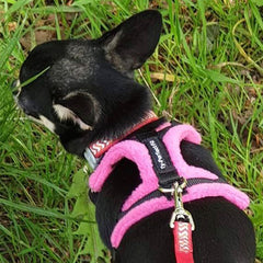 Tiny PerfectFit Complete Harness 1-4 for Adult Chihuahuas 28-36cm Chest 9 COLOURS Chihuahua Clothes and Accessories at My Chi and Me