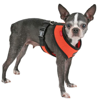 Puppia Soft Mesh Small Dog Harness A Orange 3 Sizes