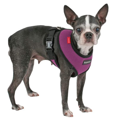 Puppia Soft Mesh Small Dog Harness A Purple 3 Sizes