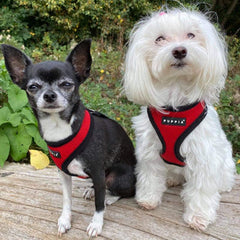 Puppia Soft Mesh Small Dog Harness A Red and Black 4 Sizes