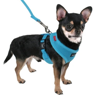 Puppia Soft Mesh Chihuahua Small Dog Harness A Sky Blue 3 Sizes