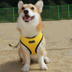 Puppia Soft Mesh Chihuahua Small Dog Harness A Yellow 3 Sizes