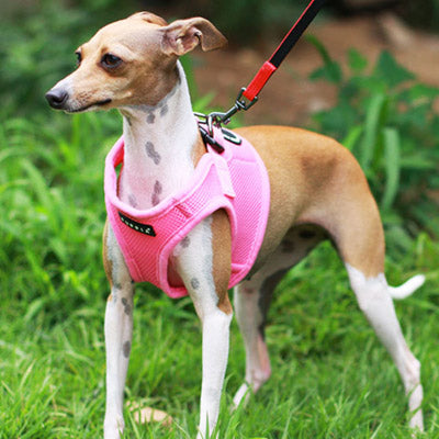 Puppia Soft Mesh Vest Style Small Dog Jacket Harness B Pink 4 SIZES
