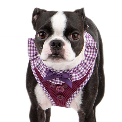 Puppia Vivien Chihuahua Harness A Purple 3 Sizes Chihuahua Clothes and Accessories at My Chi and Me