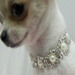 Chihuahua Bling Necklace Small Dog Faux Pearl and Diamante Starlight Collar Chihuahua Clothes and Accessories at My Chi and Me
