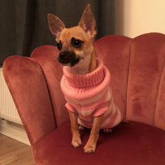 Urban Pup Chihuahua Small Dog Pink and White Candy Striped Jumper