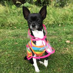 Pink Edged Waterproof Raincoat for Chihuahuas and Small Dogs - 3 SIZES Chihuahua Clothes and Accessories at My Chi and Me