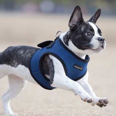Puppia Soft Mesh Vest Style Small Dog Jacket Harness B Royal Blue 4 Sizes