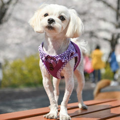 Puppia Vivien Small Dog Harness A Purple 4 Sizes
