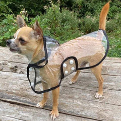 Waterproof Raincoat for Chihuahuas and Small Dogs Black Trim 5 Sizes