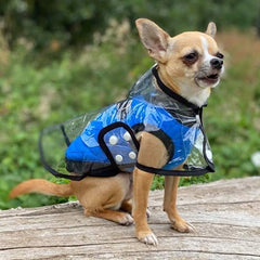 Black Edged Waterproof Raincoat for Chihuahuas and Small Dogs - 4 SIZES