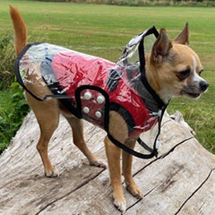 Black Edged Waterproof Raincoat for Chihuahuas and Small Dogs - 4 SIZES
