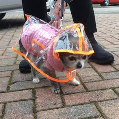 Orange Edged Waterproof Raincoat for Chihuahuas and Small Dogs - 4 SIZES