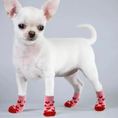 Pet Socks for Chihuahuas Puppies and Small Dogs – My Chi and Me