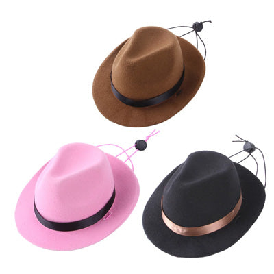 Pink Stetson Cowgirl Hat for Small Dog or Cat