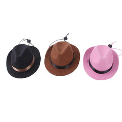 Pink Stetson Cowgirl Hat for Small Dog or Cat