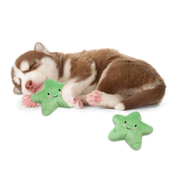 Twinkle Chihuahua or Small Dog Plush Star Toy with Squeaker Green