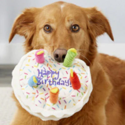 Large Dog Birthday Cake Toy with Colourful Cord Candles