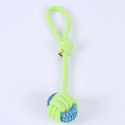 Super Strong Blue and Green Single Loop Rope Tug and Throw Dog Toy