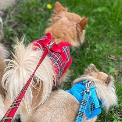 Urban Pup Faux Fur Lined Tartan Small Dog Vest Harness Blue