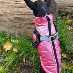 Trekker Premium Sakura Small Dog Coat Inbuilt Harness Pink