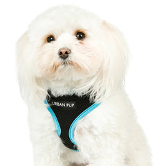 Active Mesh Black and Blue Harness by Urban Pup