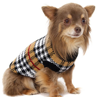 Urban Pup Chihuahua or Small Dog Autumn Check Jumper