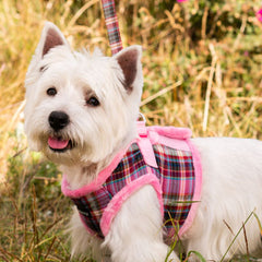 Urban Pup Faux Fur Lined Highlands Dog Vest Harness Heather and Bracken