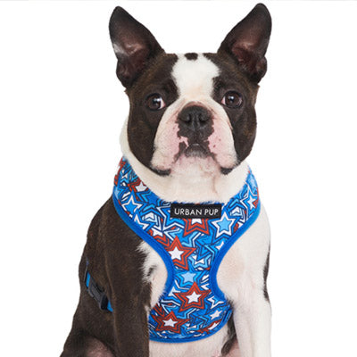 Urban Pup Blue Hero Star Bandana for Chihuahuas and Small Dogs