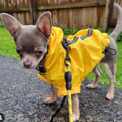 Urban Pup Chihuahua or Small Dog Explorer Raincoat Yellow