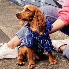 Urban Pup Chihuahua Puppy Chihuahua or Small Dog Storm Blue Coat Rainstorm Jacket