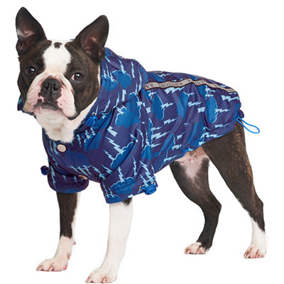 Urban Pup Rainstorm Chihuahua or Small Dog Coat Storm Blue SALE – My ...
