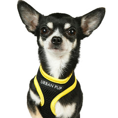 Active Mesh Black and Yellow Harness by Urban Pup Chihuahua Clothes and Accessories at My Chi and Me