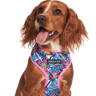 Pink and Blue Graffiti Harness by Urban Pup
