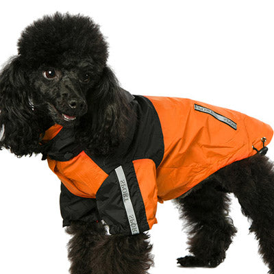 Urban Pup Chihuahua Puppy Chihuahua or Small Dog Black & Orange Trailfinder Windbreaker Jacket Chihuahua Clothes and Accessories at My Chi and Me
