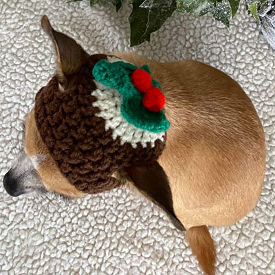 LIMITED EDITION Christmas Pudding Chihuahua or Small Dog Hand Made Hat with Holly & Berries